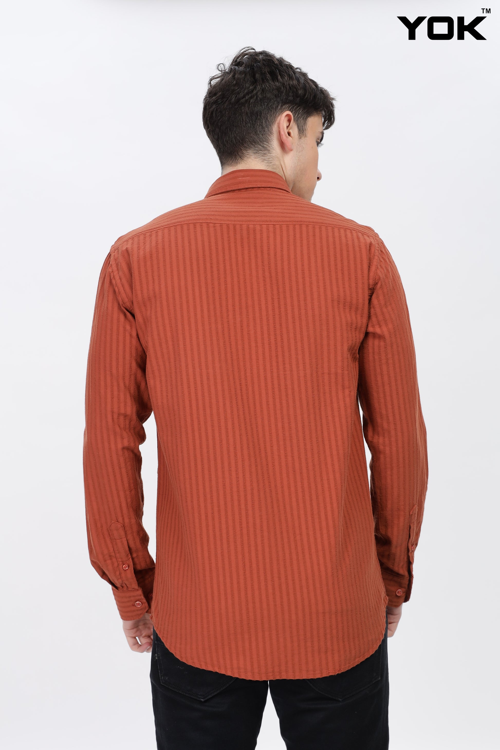 Pale Red Stripe Shirt for Men